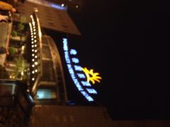 电谷国际酒店-电谷雅阁国际大酒店