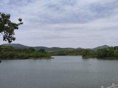 -佛手湖郊野公园