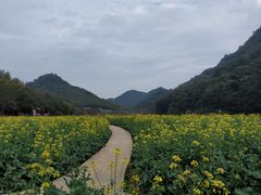 -广州市石门国家森林公园