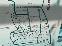 -北京张裕爱斐堡酒庄