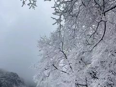 -少华山国家森林公园