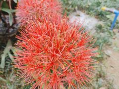 -广州神农草堂中医药博物馆