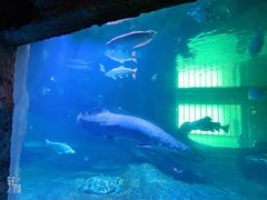 -华夏文旅海洋公园