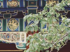 -故宫博物院(故宫)