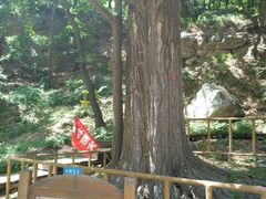 -北京上方山国家森林公园