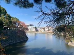 -名古屋城