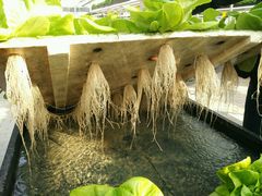 -中国农科院国家农业科技展示园