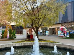 -西安电影制片厂