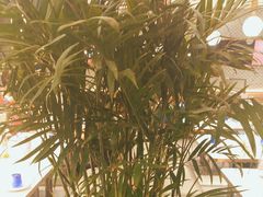 -三江源活鱼现烤(维多利摩尔城店)