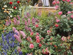 -人民公园(罗湖区)