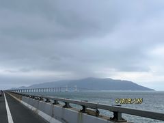 -南澳岛打卡果汁冰公司