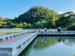 -顺峰山公园