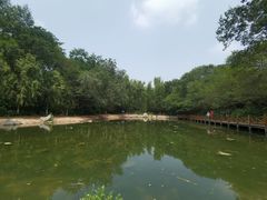 -云岗森林公园