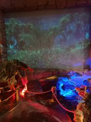 -恐龙探索乐园(磁器口店)