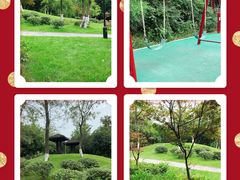 -府河摄影公园