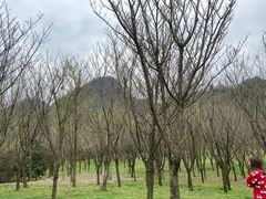 -贵阳市花溪国家城市湿地公园