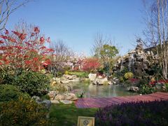 -上海长兴岛郊野公园