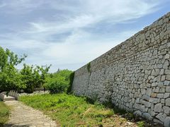 -原山国家森林公园