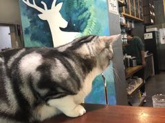 -咖法森林·咖啡  酒吧(天河店)