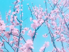 -堤角公园