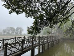 -象山森林公园