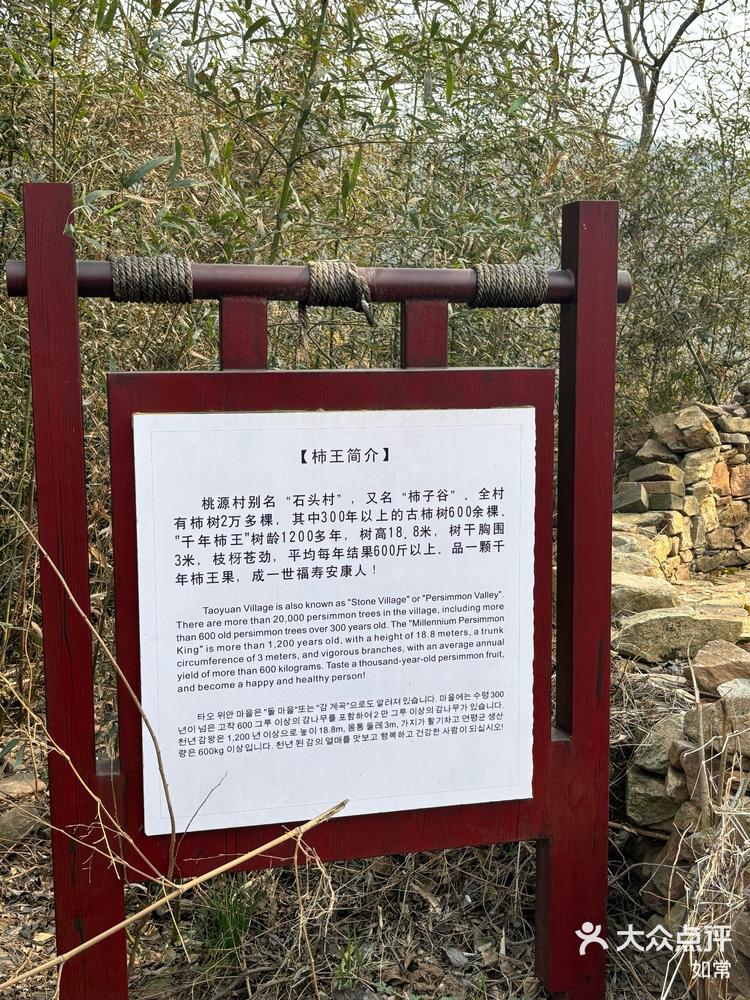 广水桃源村 | 千年古村的浪漫之旅94-大众点评