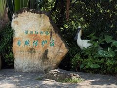 -福田红树林生态公园