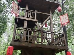 -合肥滨湖国家森林公园