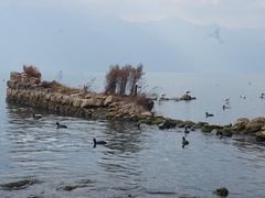 -洱海月湿地公园