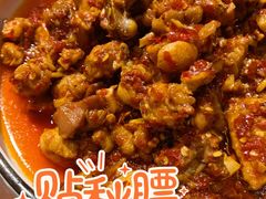 -志晖园圆子鸡·辣子鸡(阳光店)