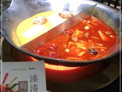 -湊湊火锅·茶憩(石家庄万象城店)