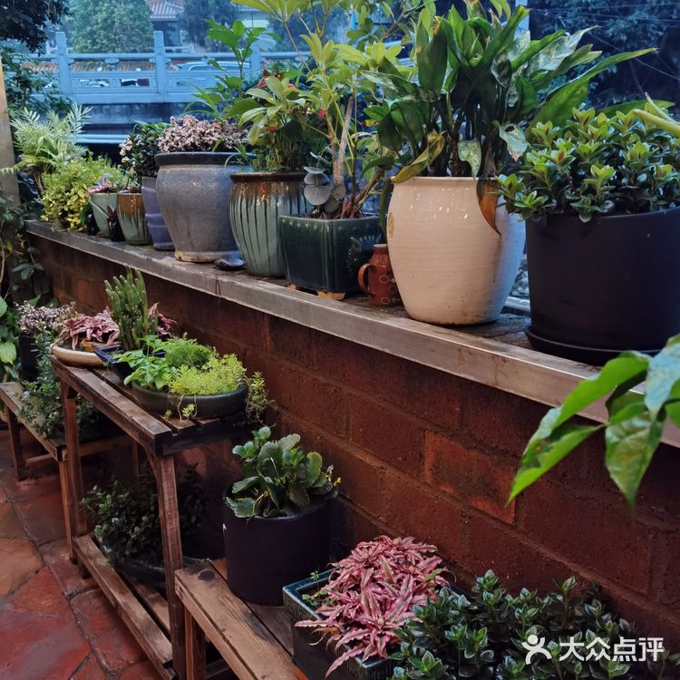 ✨小榄下沉式花园餐厅
