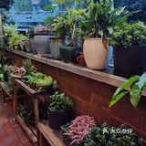 ✨小榄下沉式花园餐厅
