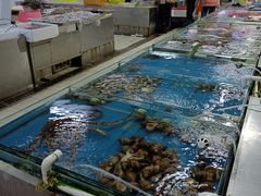 -板桥海鲜广场(文明东店)