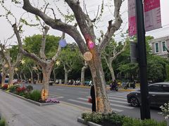 -思南书局(复兴中路店)