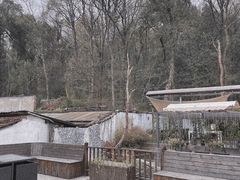 -她说户外烧烤团建(西湖店)