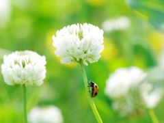-绥化市森林植物园