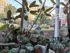 -wakanda瓦坎达咖啡(创享天地店)