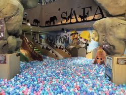 -卡通尼·Safari非洲探索乐园·生日会(金桥国际商业广场店)