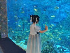 -横店影视城梦幻谷园区