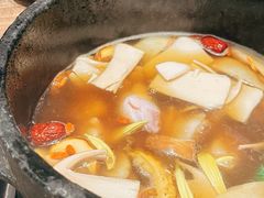 -蘑界·野生菌火锅(深业上城店)