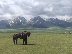 -新疆那拉提国家旅游度假区