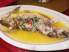 鸡油盐煎白刀鱼-万家宴海鲜大酒楼(五四路店)