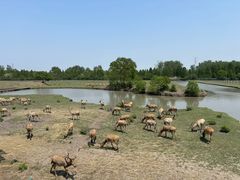 -溱湖国家湿地公园