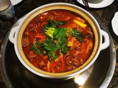 泉水焖烧鸡-先机泉水鸡汤(南山老君洞店)