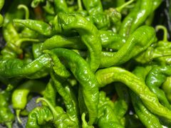 -银座商城(东城店)