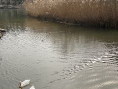 -鹦鹉寺公园