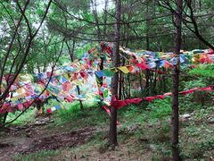 -帽儿山风景区