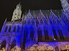 -斯蒂芬主教座堂(Stephansdom)