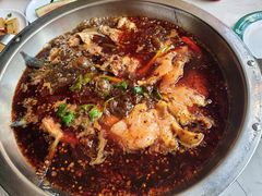 -蜀滋香鲜鱼美蛙火锅(339店)